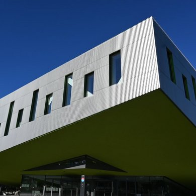 Universität Osnabrück "Frosch"