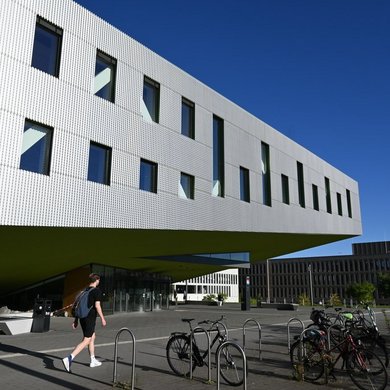 Universität Osnabrück "Frosch"