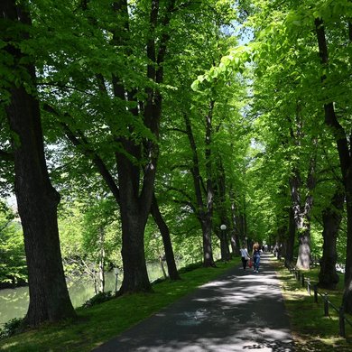 Herrenteichswall
