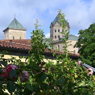 Dom Osnabrück